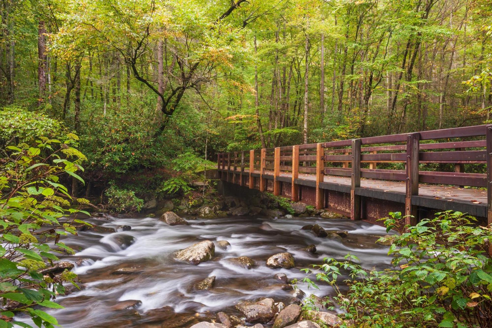 Smoky Bear Lodge With Guest House, Hot Tub, 1089 Free Tickets Each Paid Day, Dollywood And More Sevierville Luaran gambar