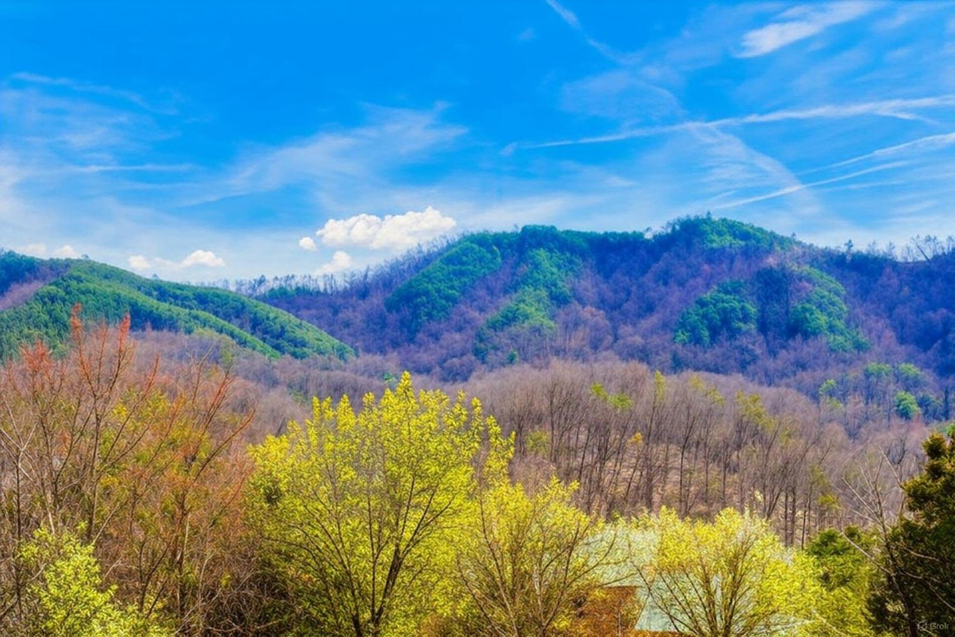 Smoky Bear Lodge With Guest House, Hot Tub, 1089 Free Tickets Each Paid Day, Dollywood And More Sevierville Luaran gambar