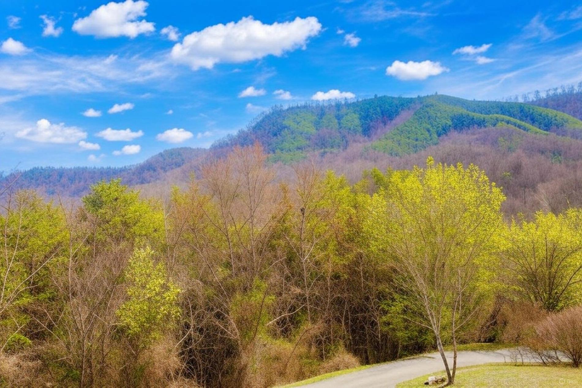 Smoky Bear Lodge With Guest House, Hot Tub, 1089 Free Tickets Each Paid Day, Dollywood And More Sevierville Luaran gambar